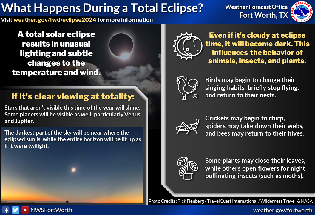 What Happens during a Total Eclipse