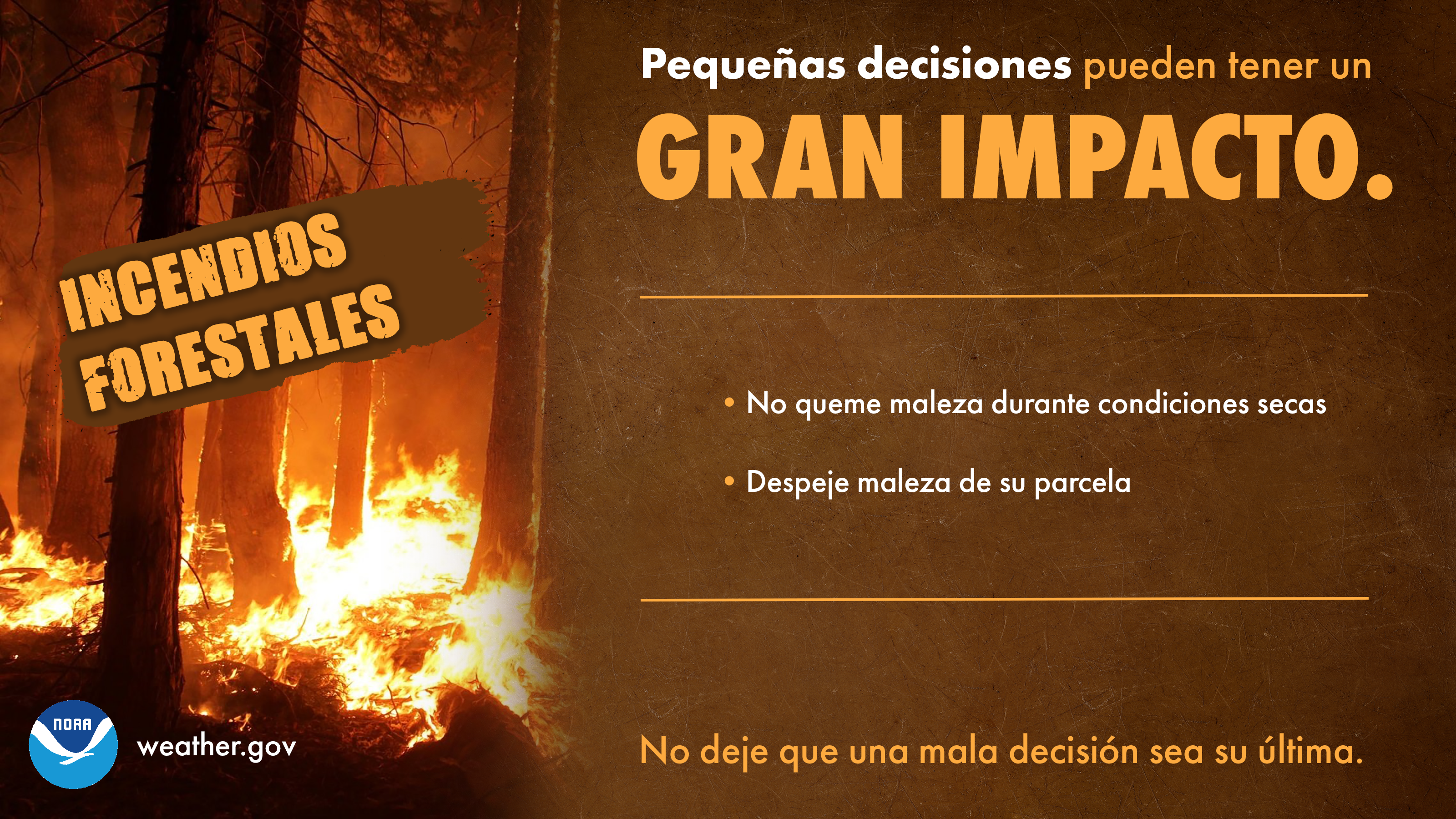 Pequeñas Decisiones: Incendios Forestales
