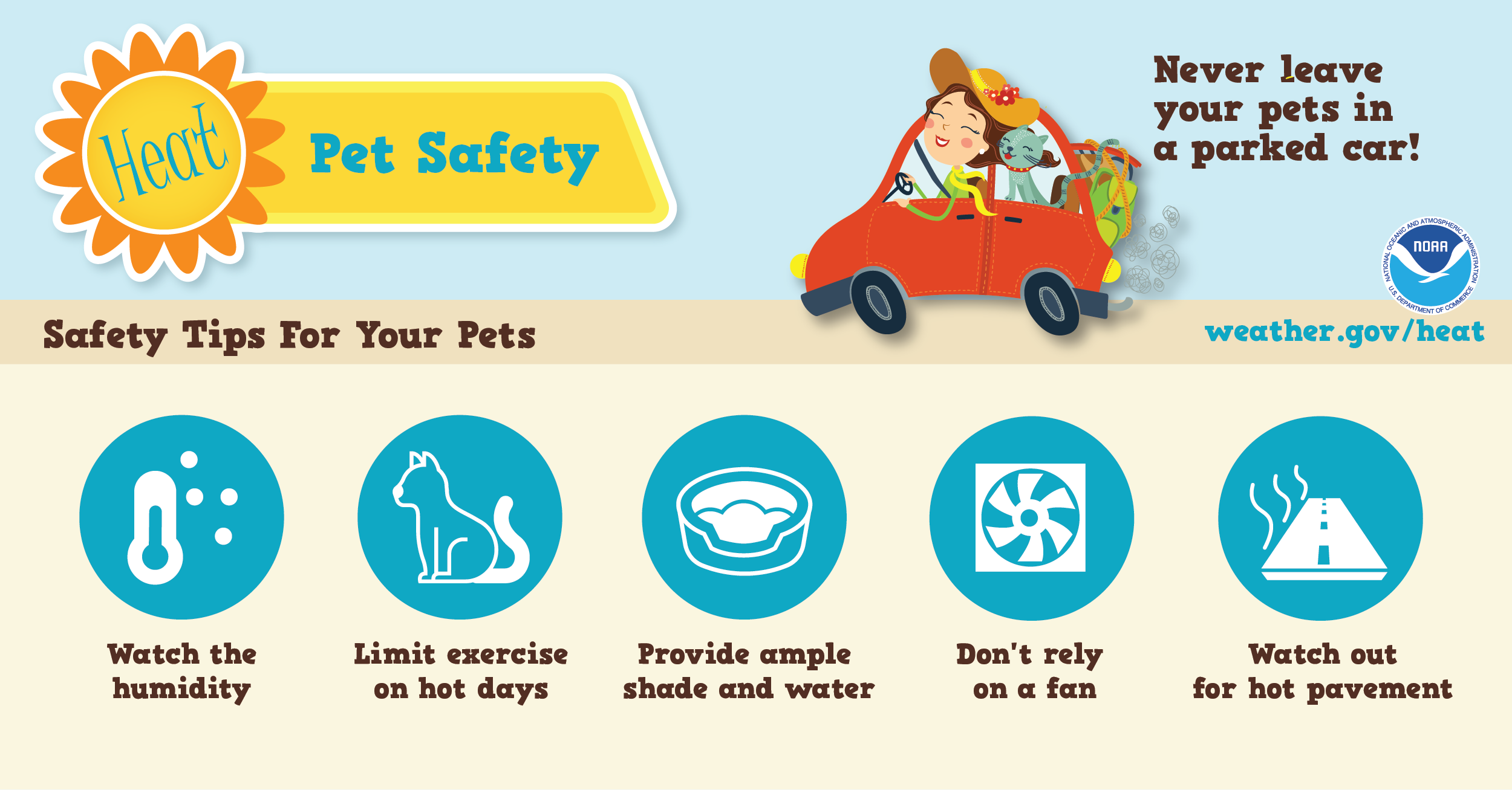 Heat - Pet Safety 2
