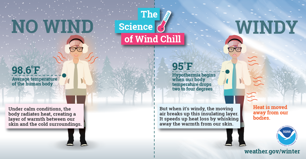 Cold - Wind Chill Science