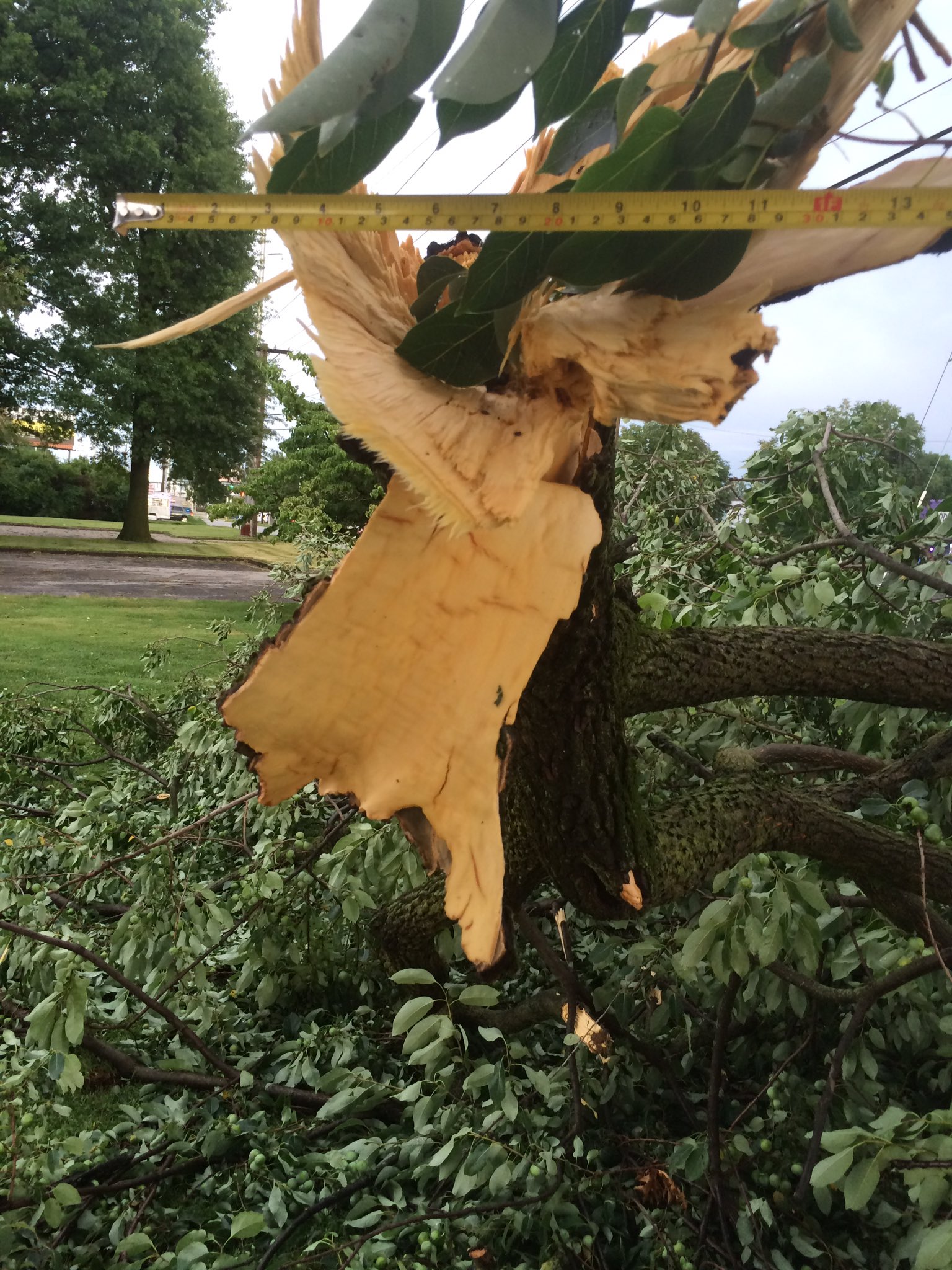 Lexington wind damage