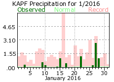 January Precipitation 2016