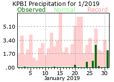 January precipitation 2019