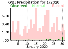 January precipitation 2020
