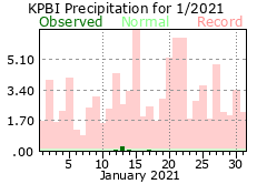 January precipitation 2021