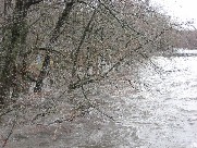 Photograph of the Blackstone River flood waters near Albian Mills in Cumberland, RI