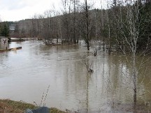 Photograph of flooding of the Fish River near Route 161 in Fort Kent, ME on April 30, 2008