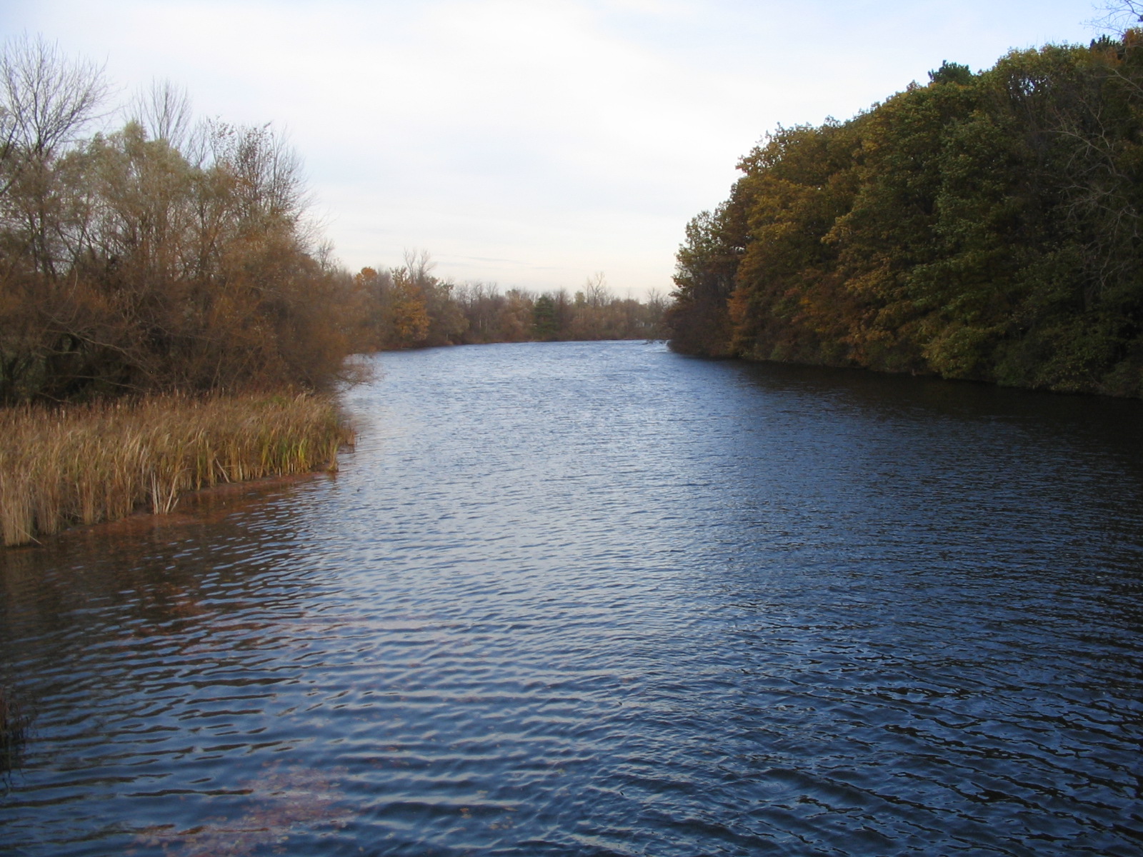 Photograph of the Black Creek at Churchville, NY (CHRN6) looking downstream