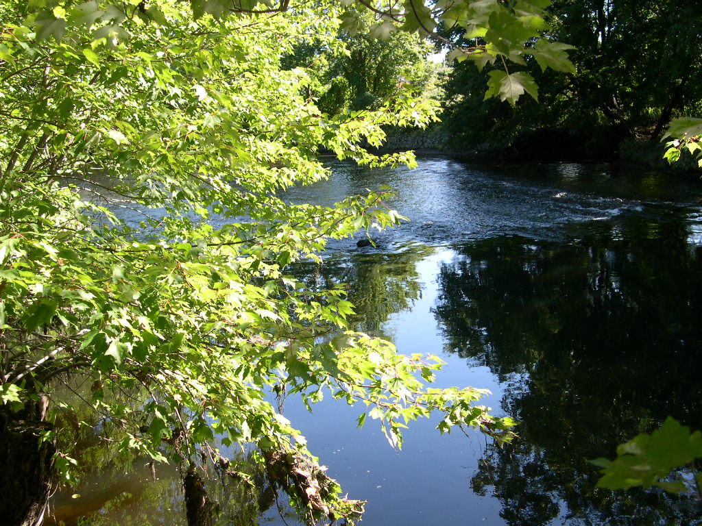 Photograph of the Pawtuxet River at Cranston, RI (CRAR1) looking downstream
