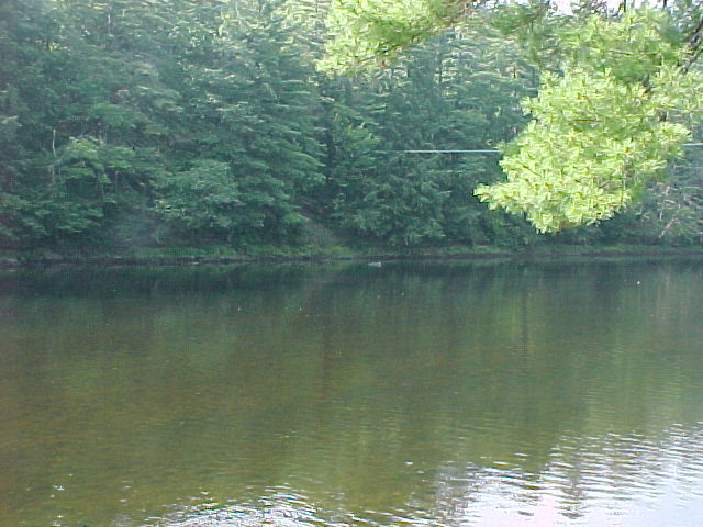 Photograph of the Saco River at Conway, NH (CNWN3) looking upstream
