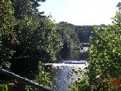 Photograph of the Branch River at Forestdale, RI, looking upstream