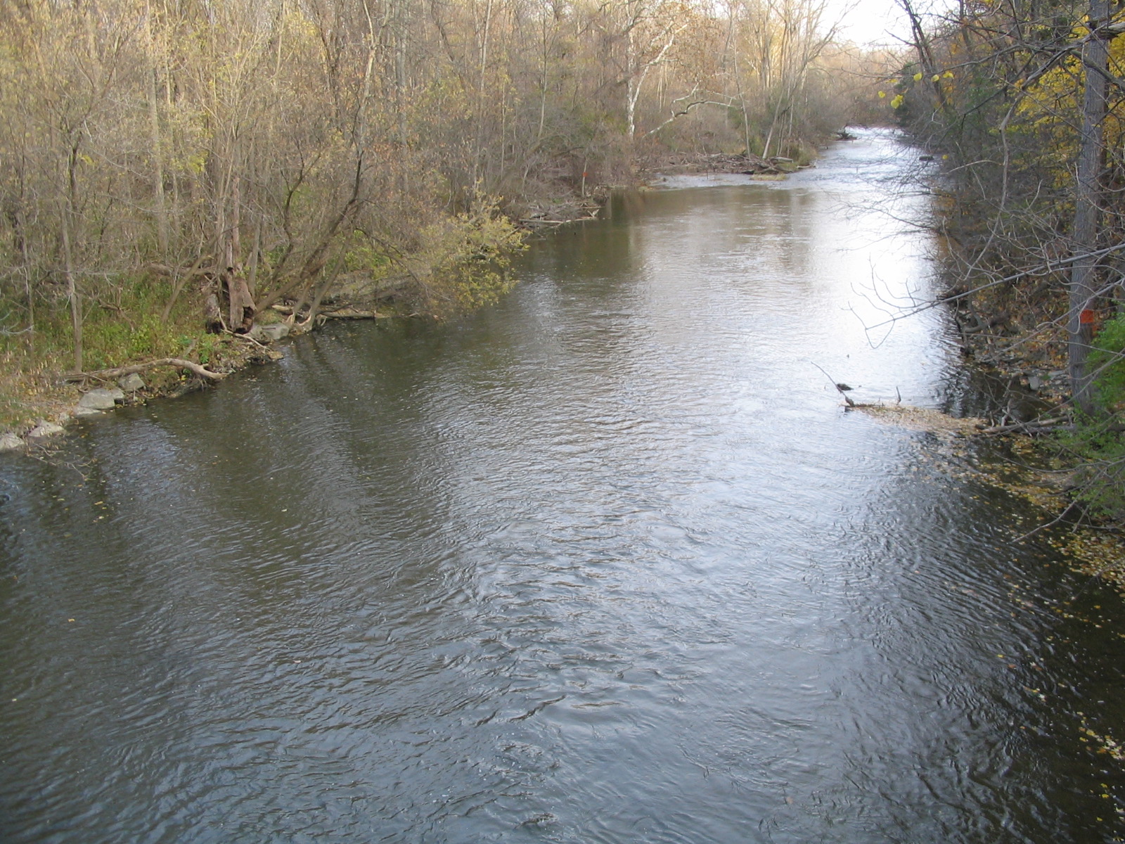 Photograph of the Oatka Creek at Garbutt, NY (GRBN6) looking upstream