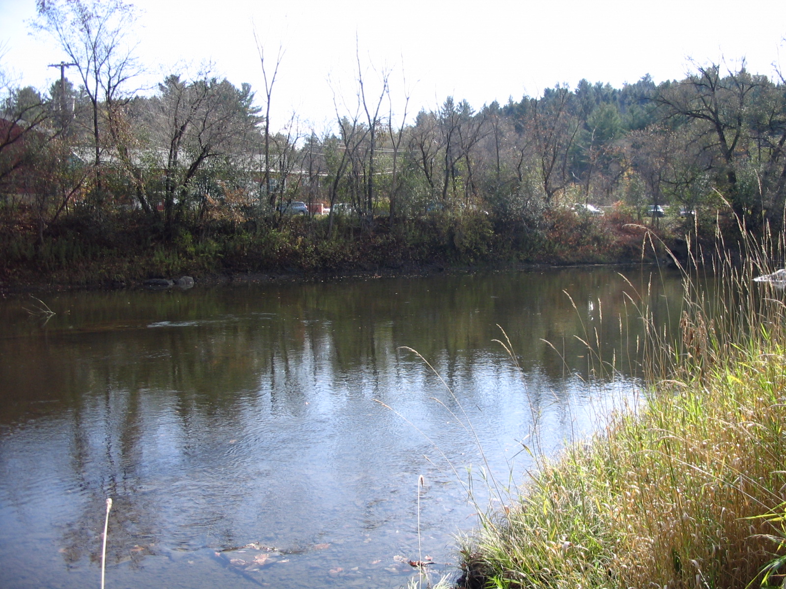 Photograph of the Winooski River at Montpelier, VT (MONV1) looking downstream