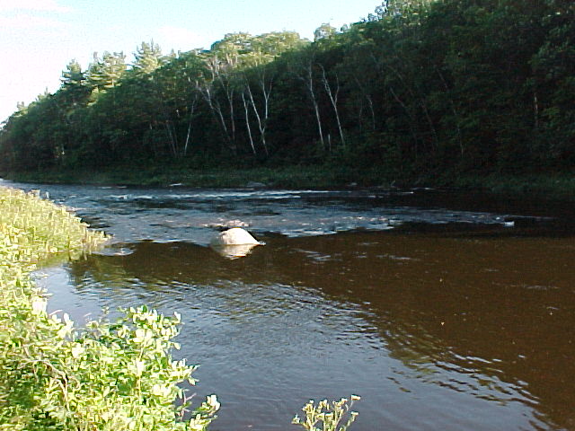 Photograph of the Carrabassett River at North Anson, ME (NANM1) looking downstream