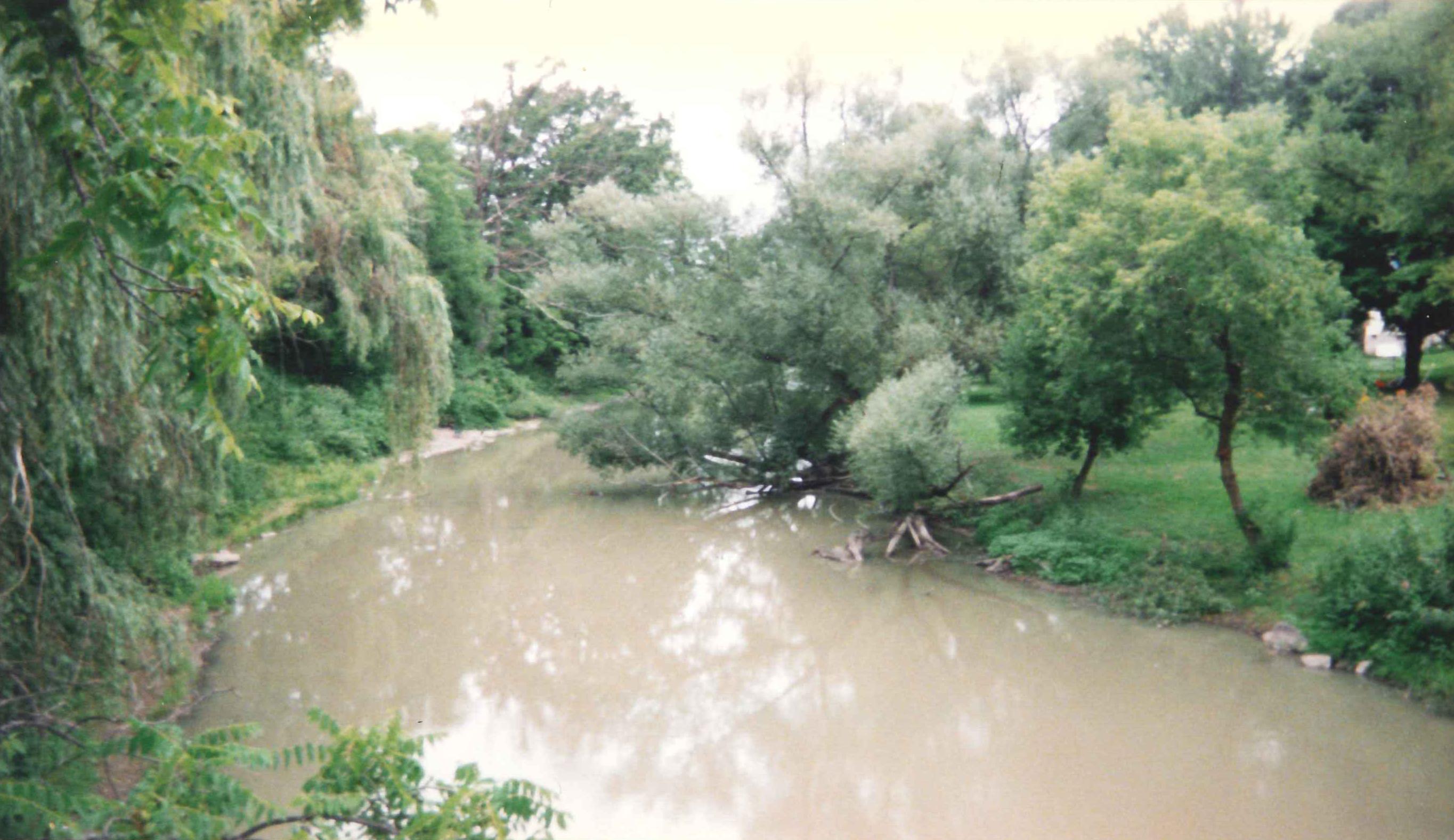 Photograph of the Tonawanda Creek at Rapids, NY (RAPN6) looking downstream