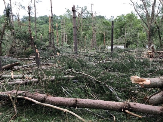trees were snapped after a downburst in 2019 in southeastern Pennsylvania