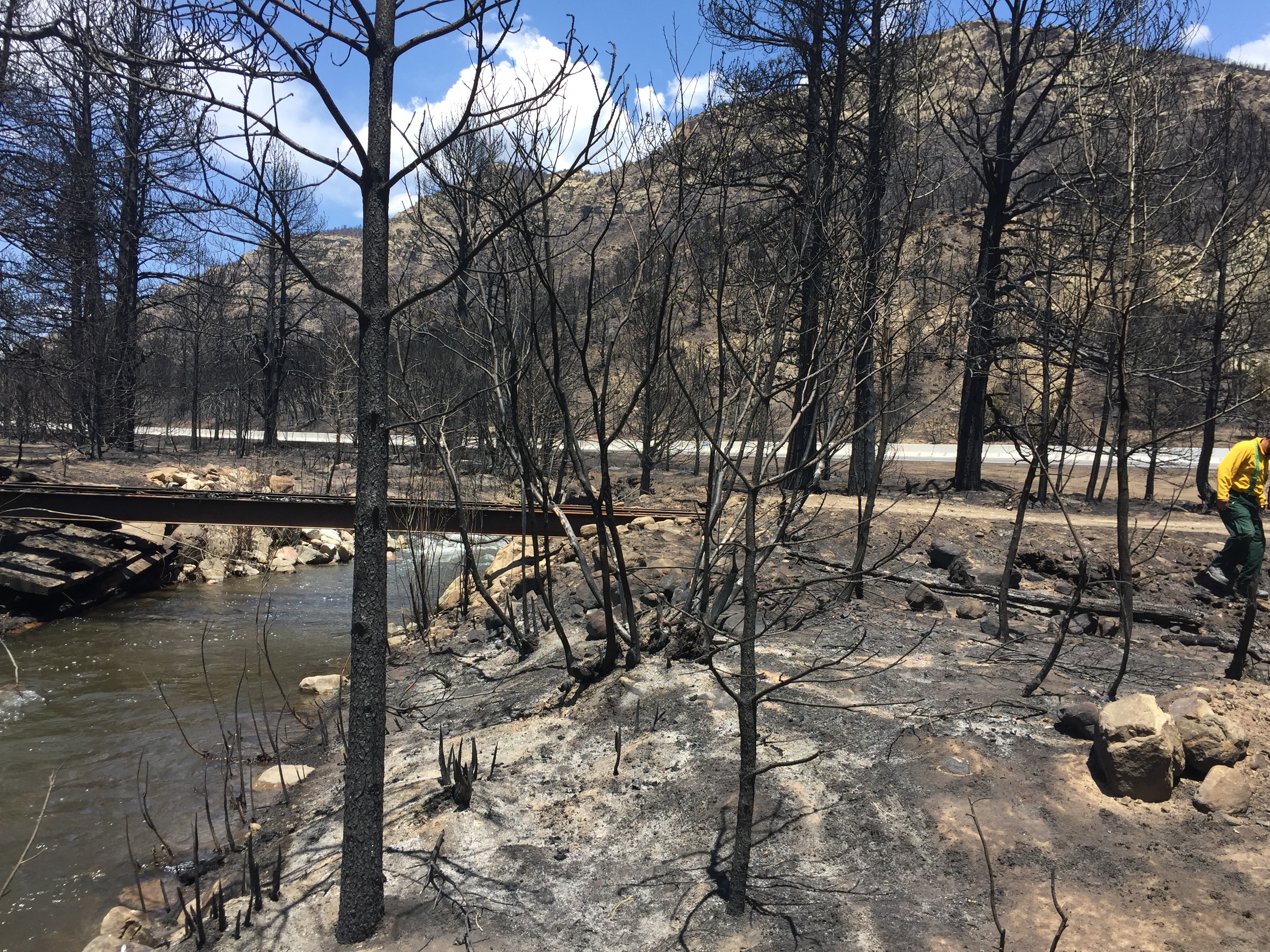 Burn damage caused by the Ute Park Fire