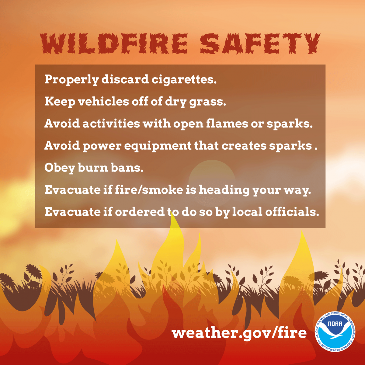 Emergency Preparedness Wildfires