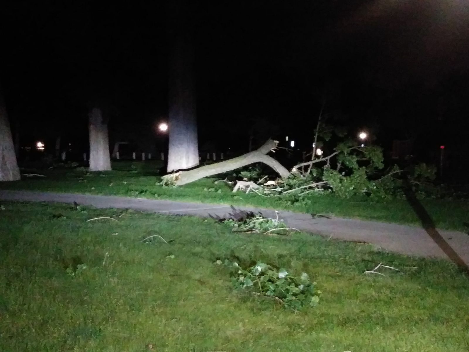 Large tree branch knocked down next to a tree. Photo credit KCCR Pierre.