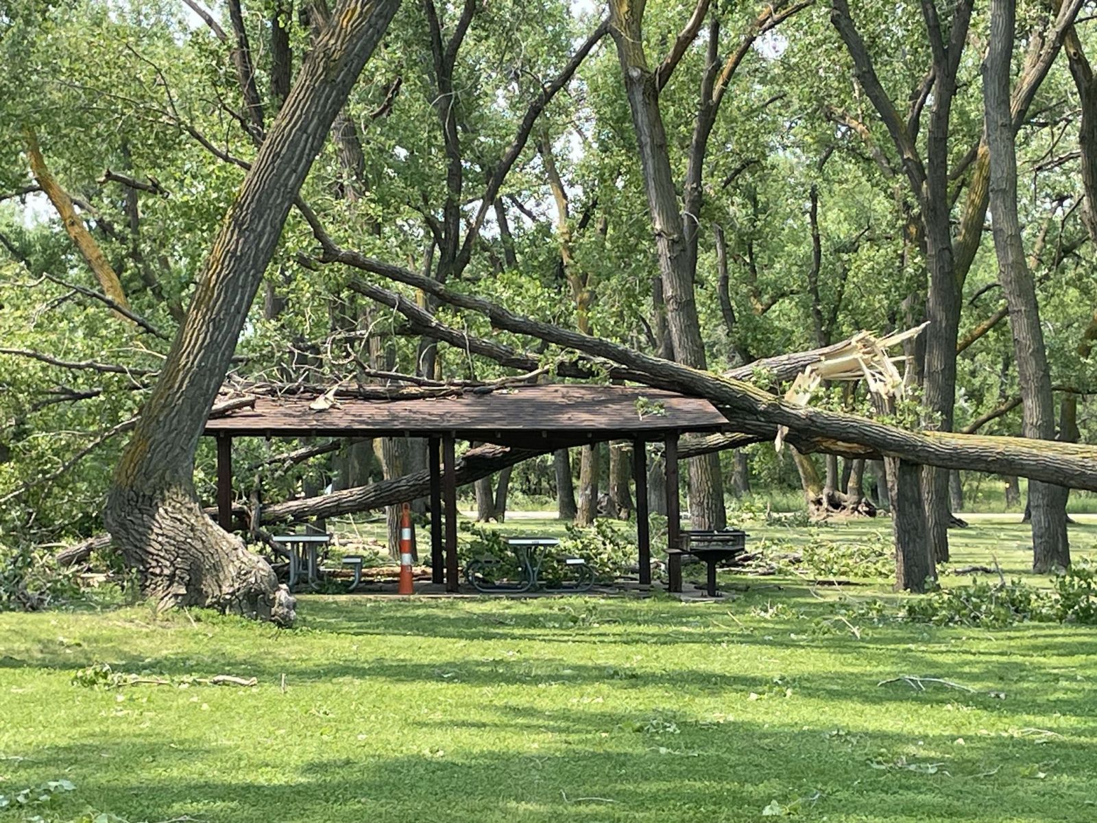 At least two trees knocked down and on a park shelter. Photo credit DRG Media Group.