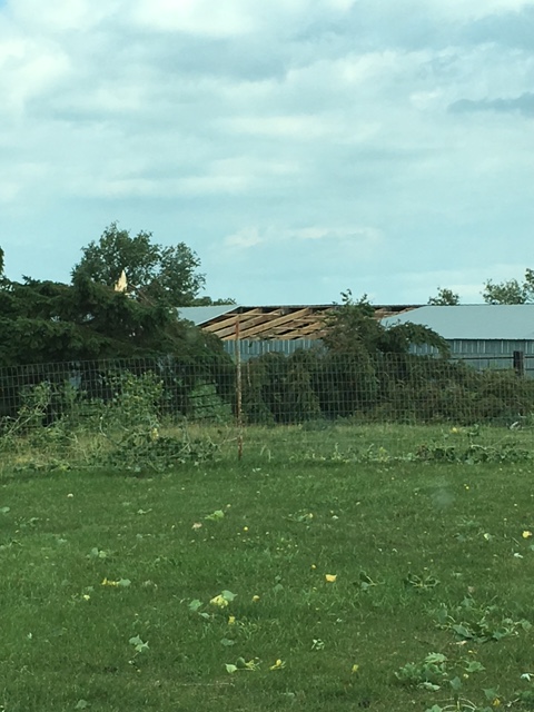 Roof damage to a house near Hillshead (Photo from Marshall County EM)