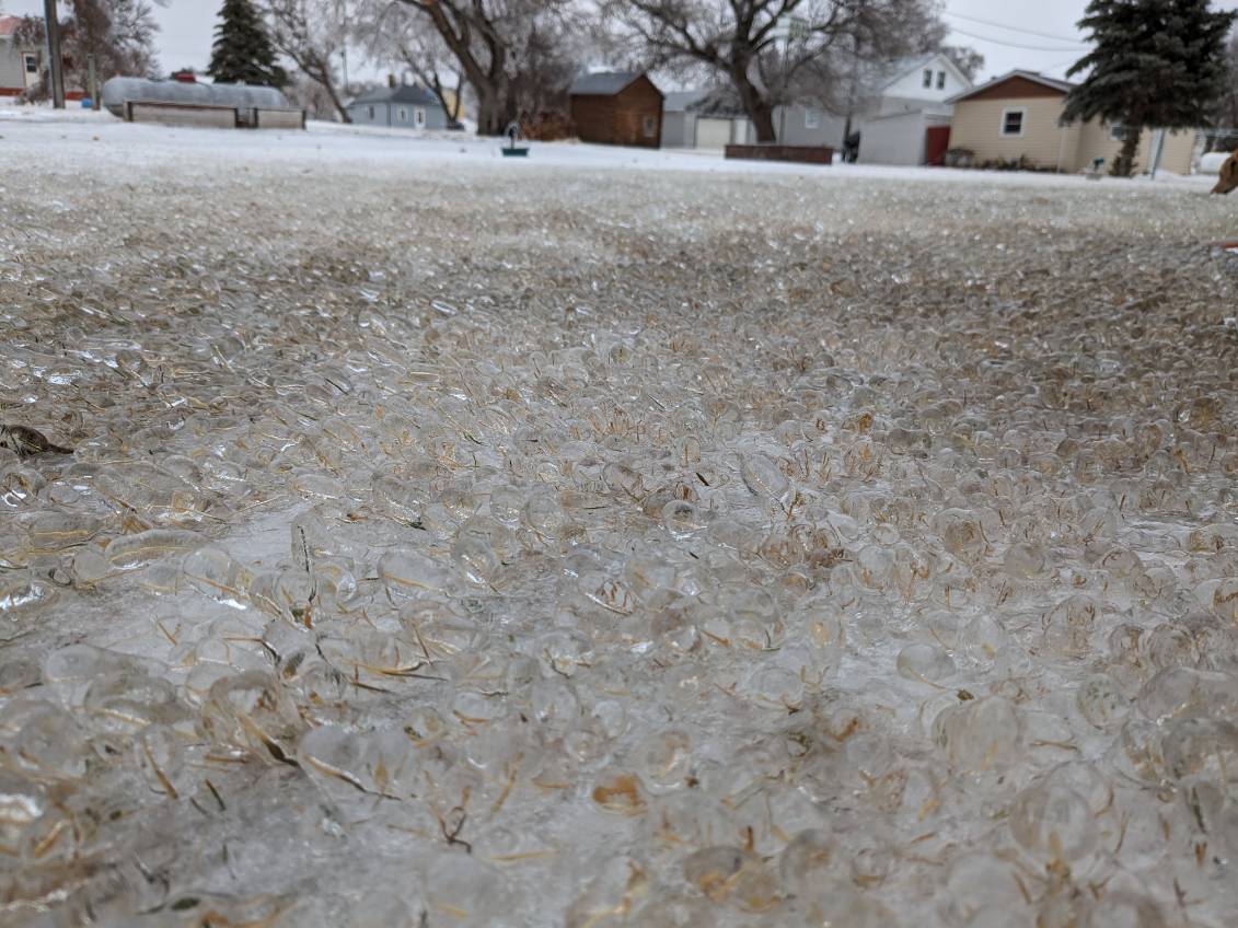 Ice accumulation on grass in Eureka, SD (Photo by Kelly Serr)