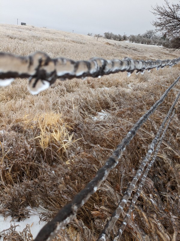 Ice accumulation on a barbed wire fence near Eureka, SD (Photo by Kelly Serr)