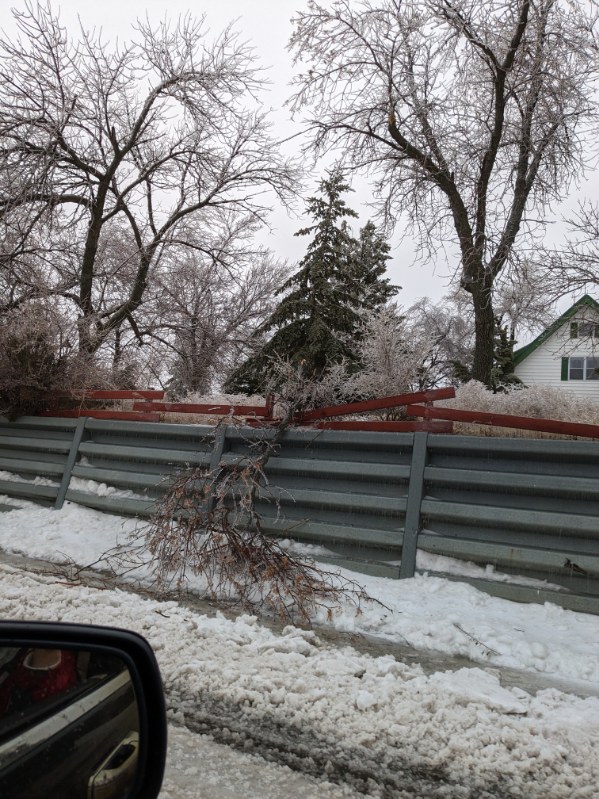 Broken tree branch from the ice damaging a fence in Eureka, SD (Photo by Kelly Serr)