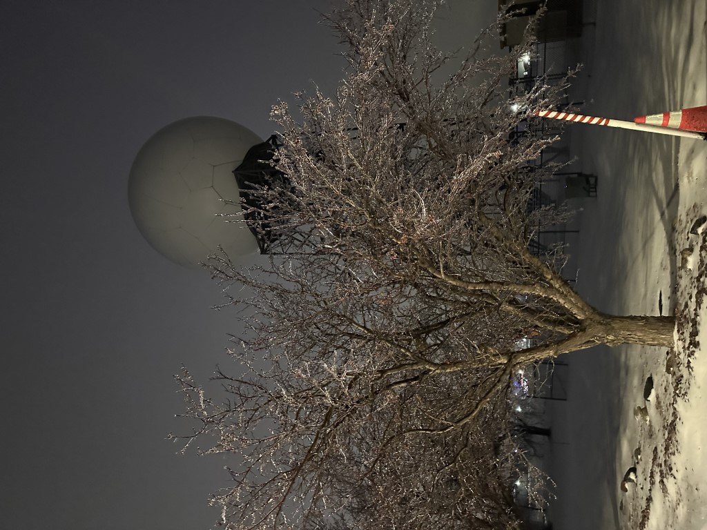 Ice on a tree at NWS Aberdeen at 11:45am on December 25th, 2023 (Photo by NWS Aberdeen)