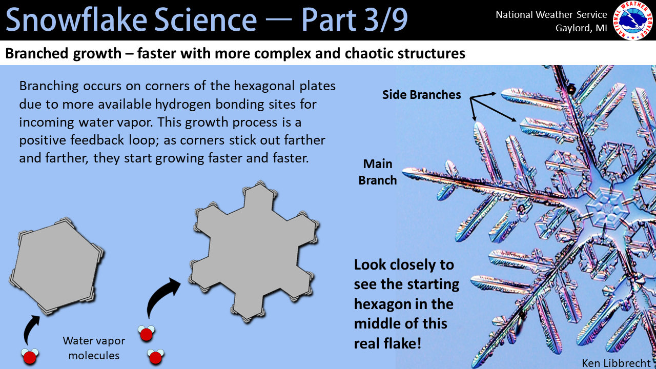 Snowflake Science