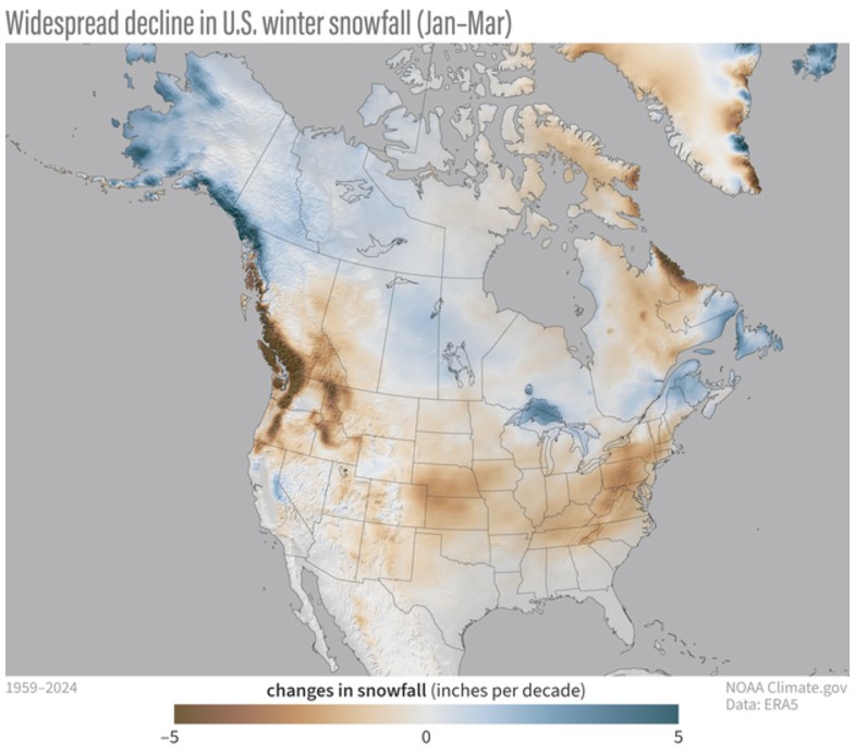 Changes in January–March snowfall across North America from 1959–2024. Most of the contiguous United States has seen a decline of snowfall (brown) over the period thanks to long-term warming. Farther north, where winter temperatures have room to warm and remain below freezing, snowfall has increased in places (blue). Such increases are consistent with global increases in atmospheric water vapor as a result of warming-driven evaporation. NOAA Climate.gov map, based on ERA5 reanalysis data and analysis by Michelle L’Heureux.