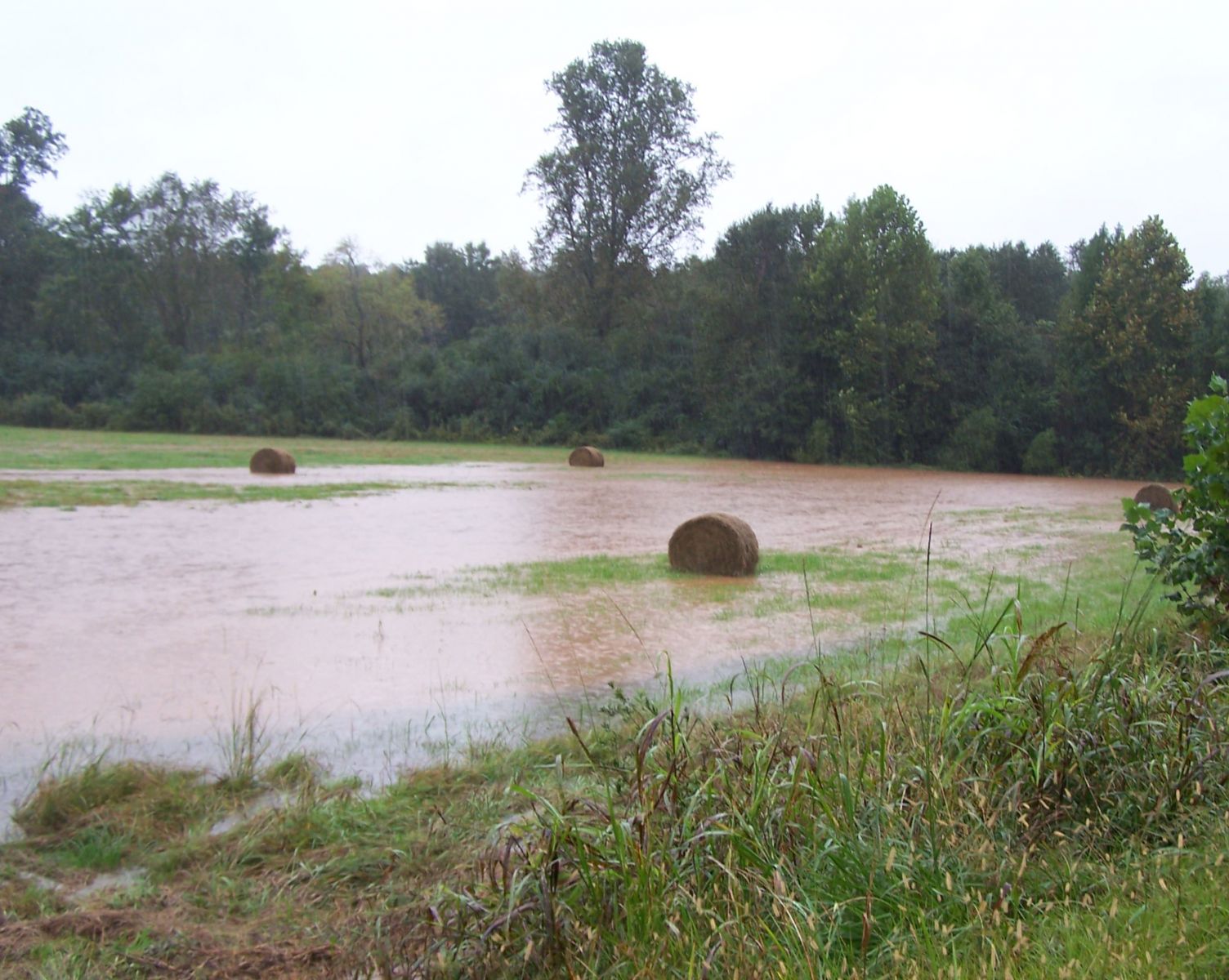 Flood Products What Do They Mean 