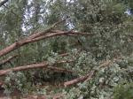 Autauga Co. Damage