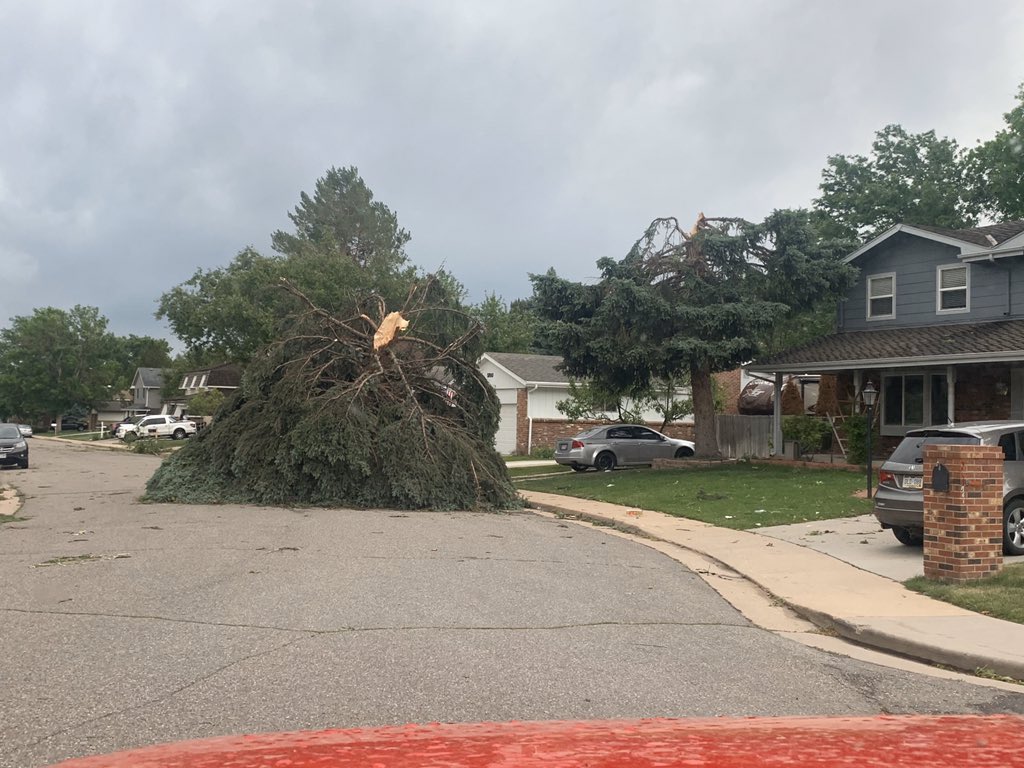 Tree snapped off & blown into street near Sheridan & Lehigh, Denvver