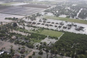 Neighborhood and field flooding in and near Harlingen (click to enlarge)