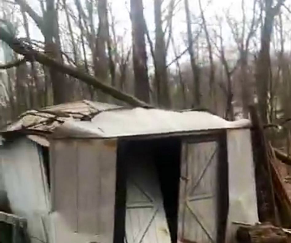 tree down on shed in Broadview Heights, Ohio