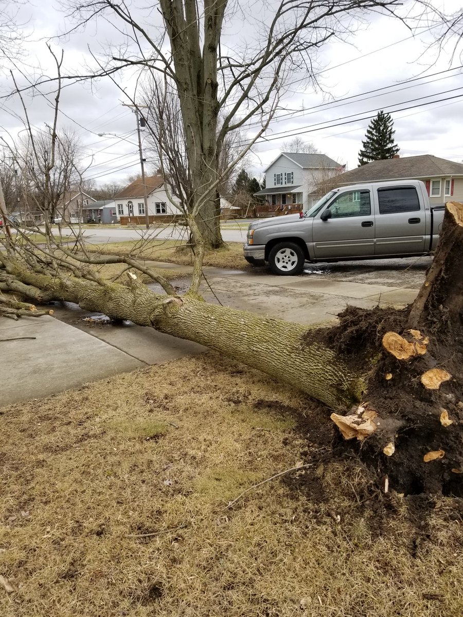 Tree down in Tiffin Ohio