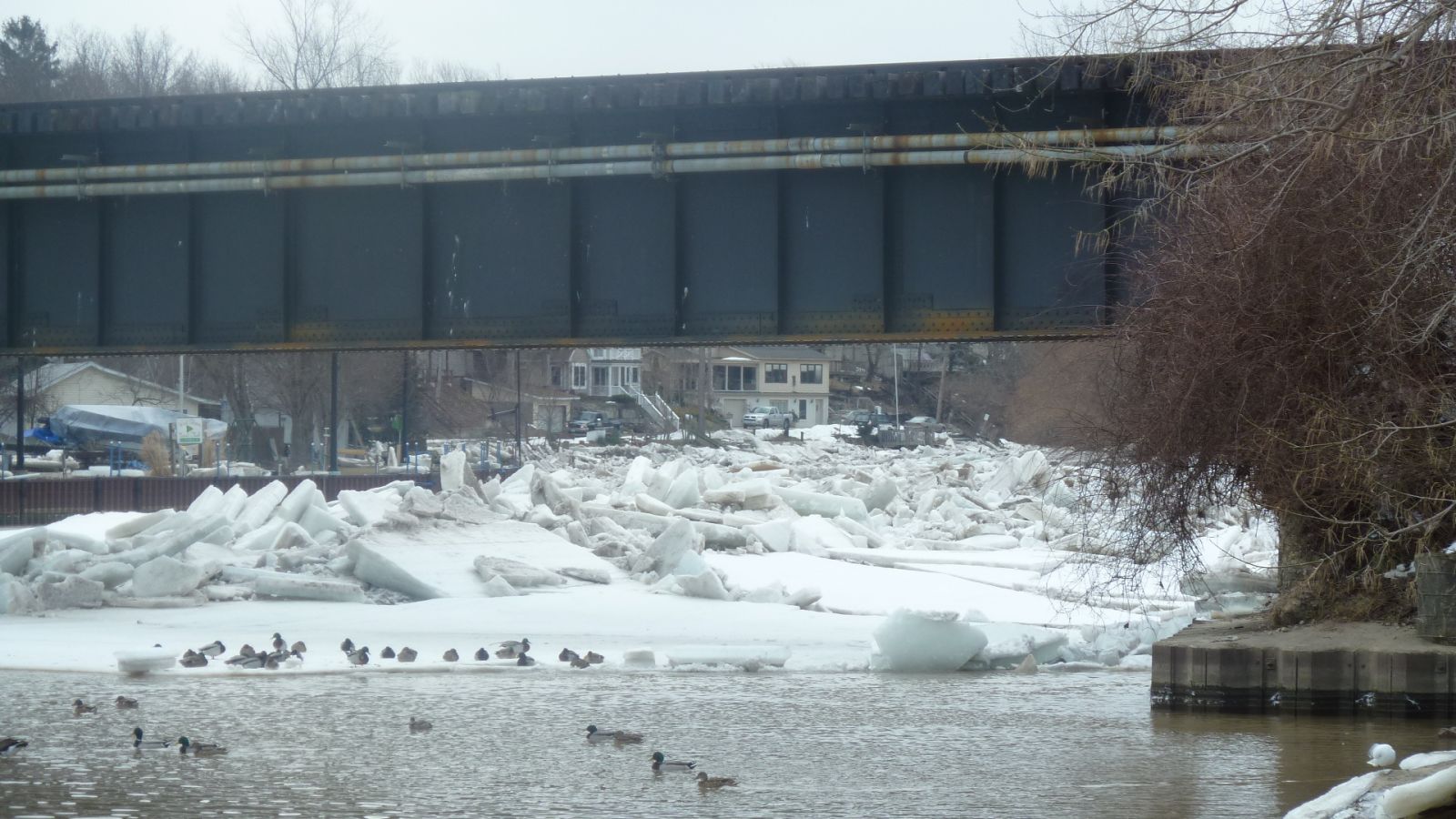 bridge along the Vermilion River where the channel narrows and ice builds up