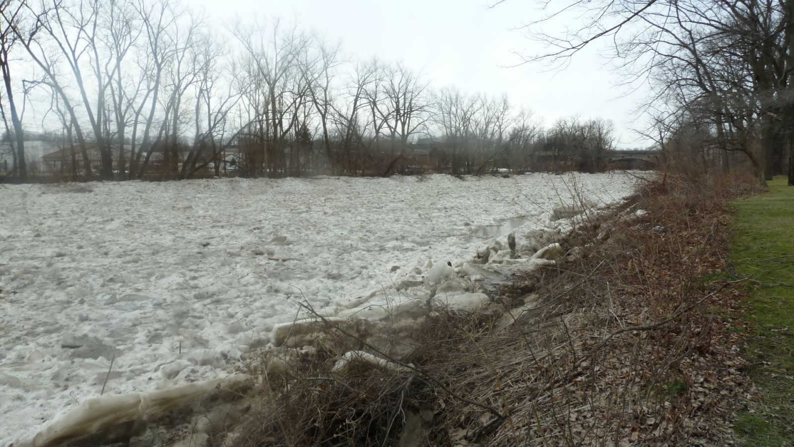 Chagrin River - Willoughby ice jam