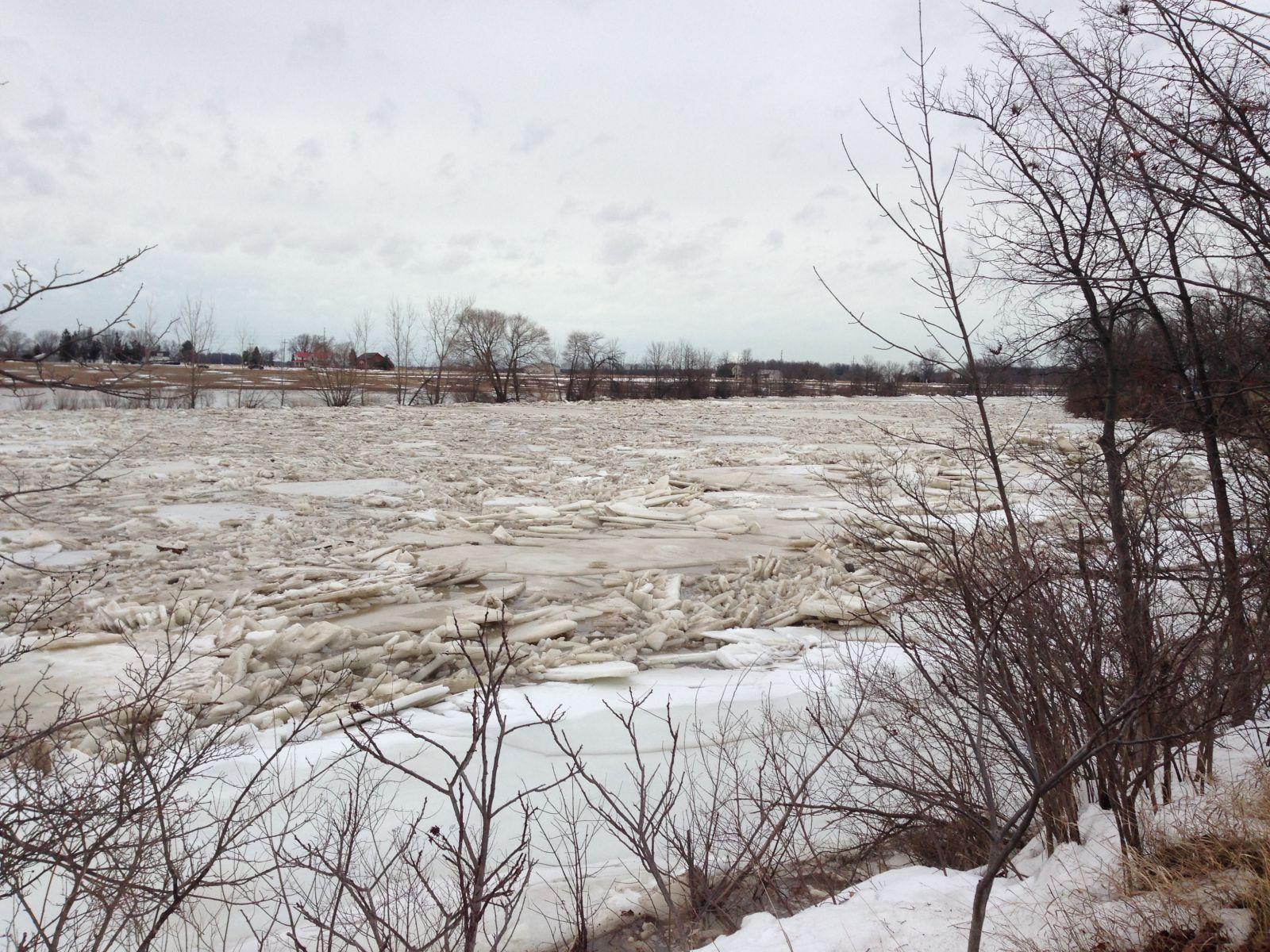 Portage River ice jam 