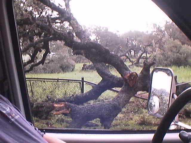 Photo from Goliad County