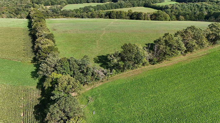 tornado swath in field 1