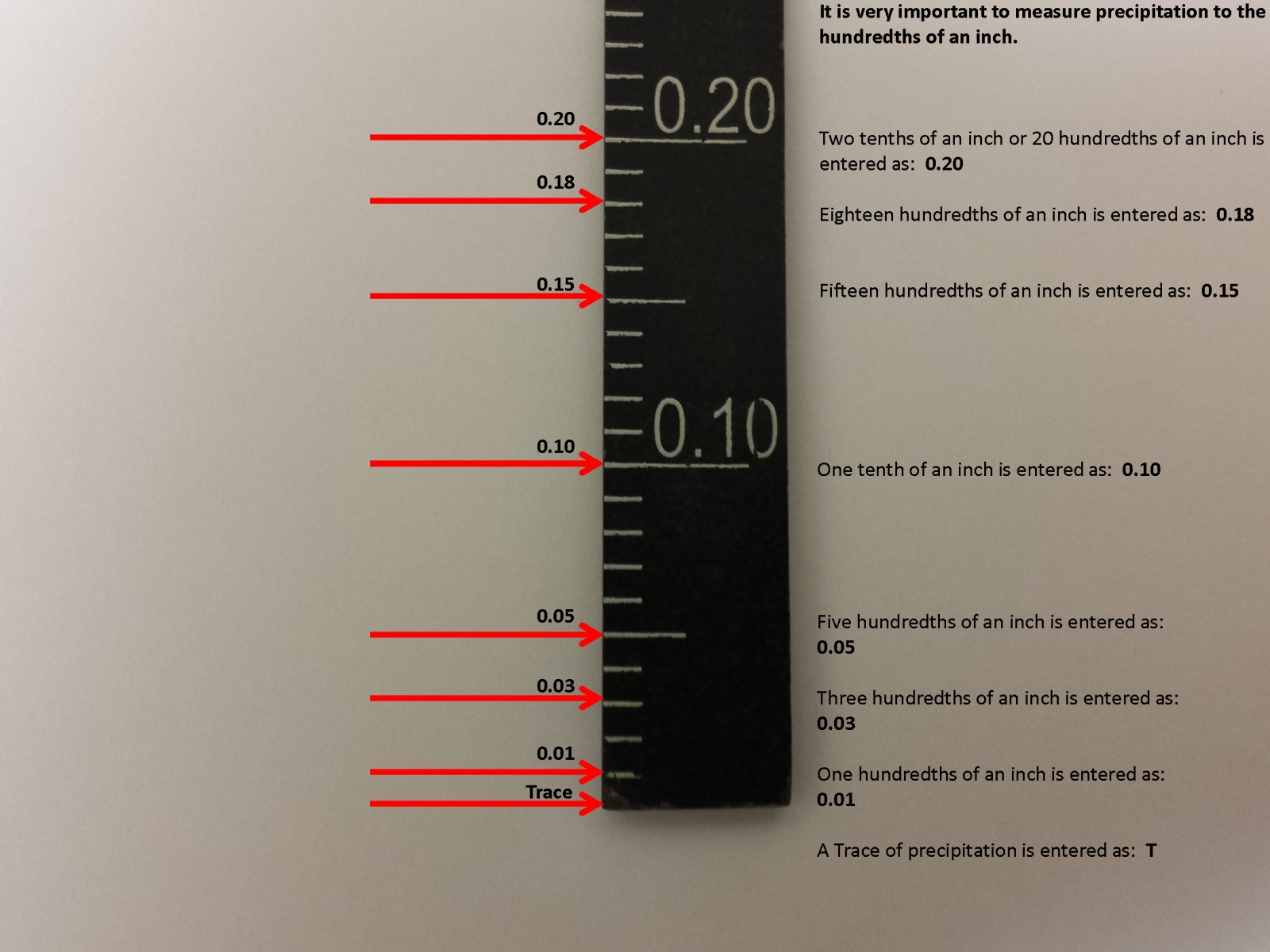 how does a standard rain gauge work