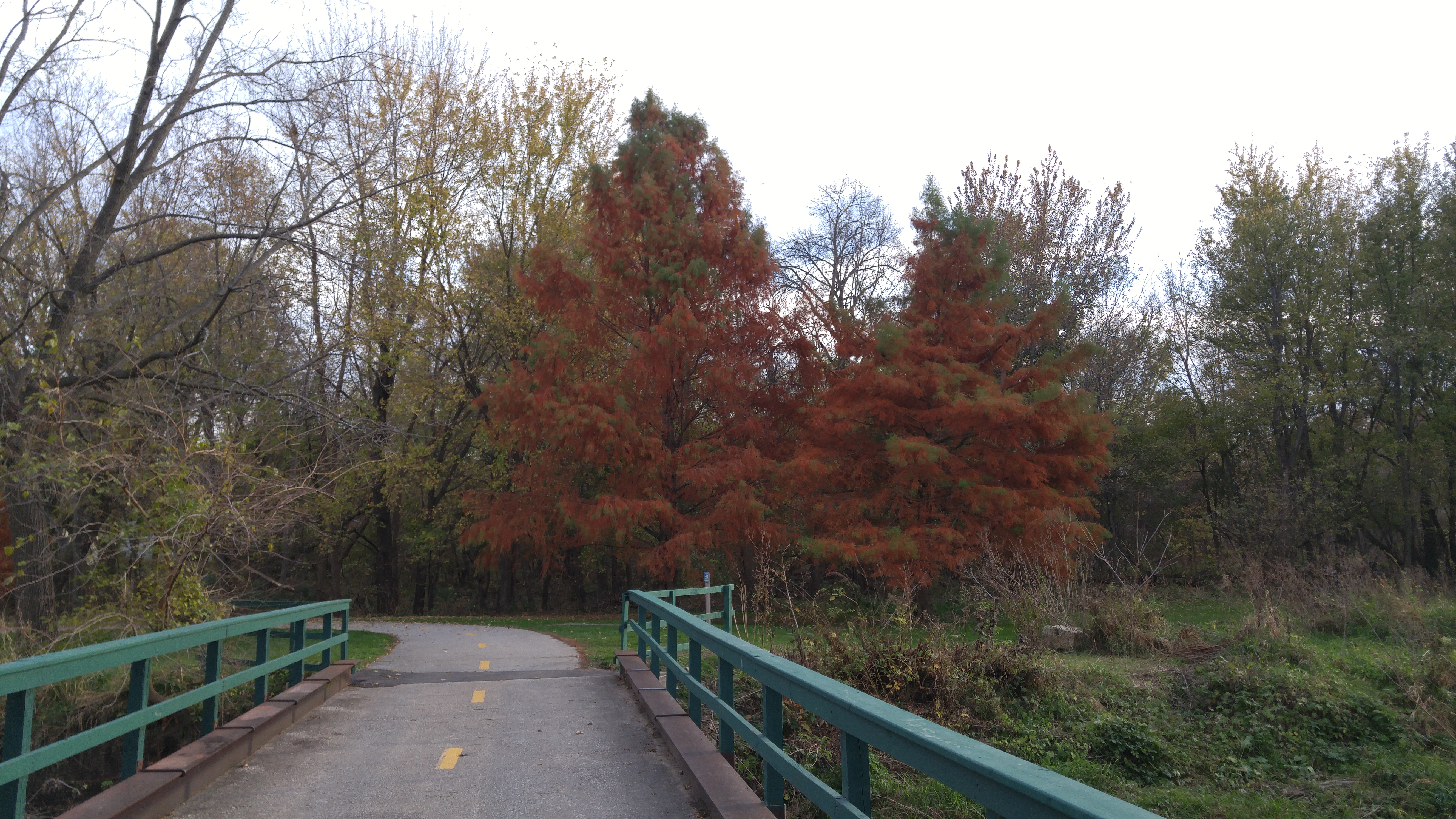 Fall Color Update for Iowa, Illinois and Missouri