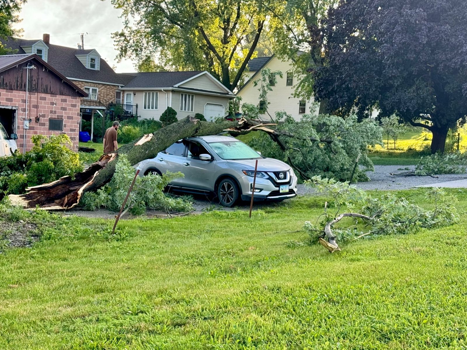 Large tree fallen on car