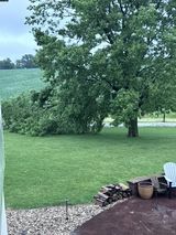 Large tree branch down four miles east of West Branch, IA