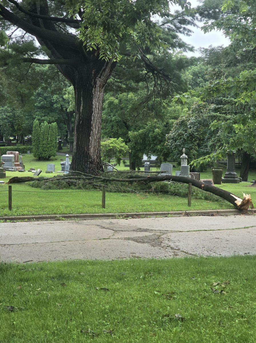 Large tree branch down in Sterling, IL