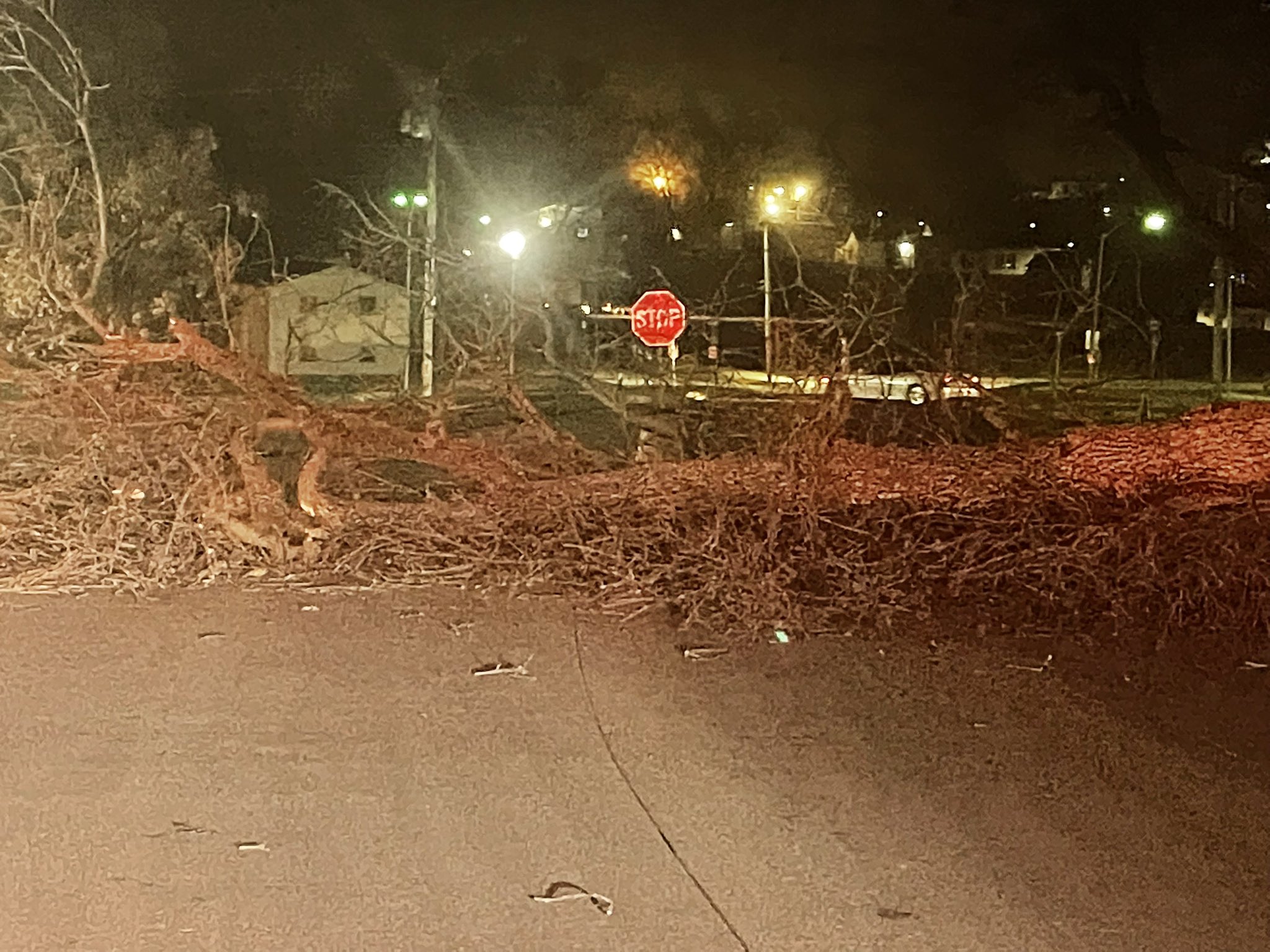 Photo of tree fallen across 7th Street on NW MO State Campus.