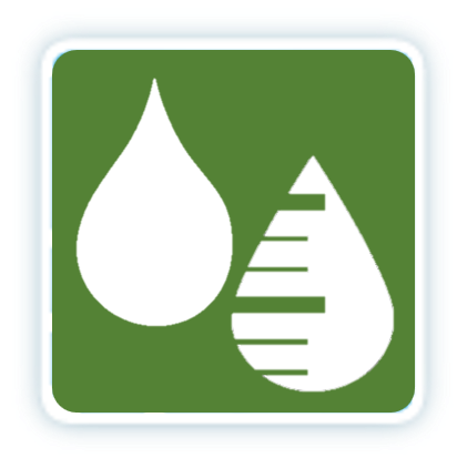 Probabilistic QPF Experiment