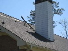 [ Limb of pine tree driven into roof of house. ]